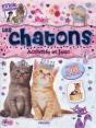 Stick Passion/Les Chatons - Preview