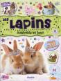 Stick Passion/Les Lapins - Preview
