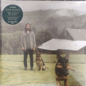 Capa do artigo Stick Season - Vinil