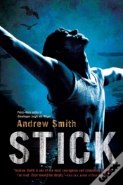 Capa do artigo Stick