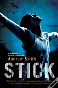 Capa do artigo Stick