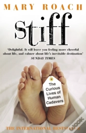 Capa do artigo Stiff