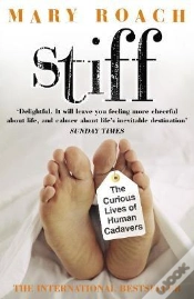 Capa do artigo Stiff