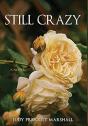 Still Crazy - Preview