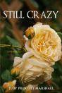 Still Crazy - Preview