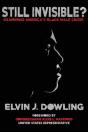 Still Invisible?: Examining America'S Bl - Preview