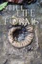 Still Life Forms - Preview