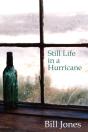 Still Life In A Hurricane - Preview