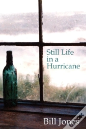 Capa do artigo Still Life In A Hurricane
