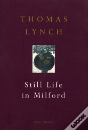 Capa do artigo Still Life In Milford
