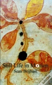 Capa do artigo Still Life In Motion