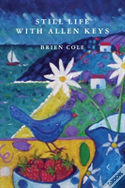 Capa do artigo Still Life With Allen Keys