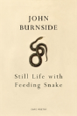 Still Life With Feeding Snake - Preview