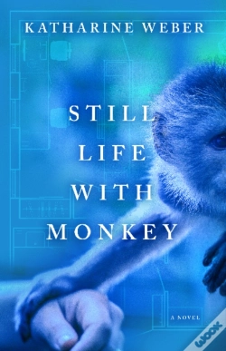 Capa do artigo Still Life With Monkey