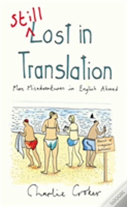 Capa do artigo Still Lost In Translation