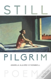 Capa do artigo Still Pilgrim
