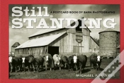 Capa do artigo Still Standing