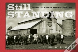 Capa do artigo Still Standing
