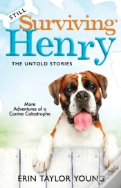 Capa do artigo Still Surviving Henry
