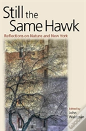 Still The Same Hawk