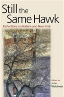Still The Same Hawk