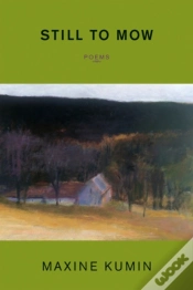 Capa do artigo Still To Mow