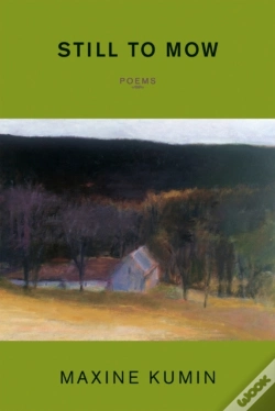 Capa do artigo Still To Mow