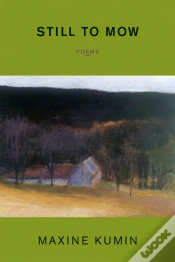 Capa do artigo Still To Mow