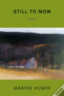 Capa do artigo Still To Mow