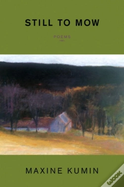 Capa do artigo Still To Mow