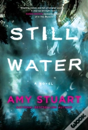 Capa do artigo Still Water