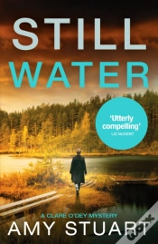 Capa do artigo Still Water
