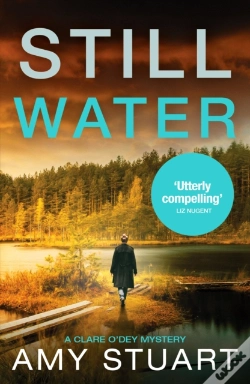 Capa do artigo Still Water