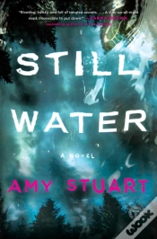 Capa do artigo Still Water