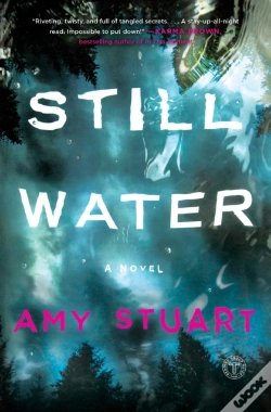 Capa do artigo Still Water