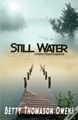 Capa do artigo Still Water