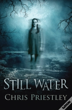 Capa do artigo Still Water