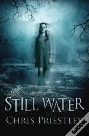 Capa do artigo Still Water