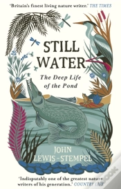 Capa do artigo Still Water