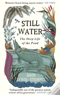 Capa do artigo Still Water