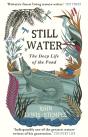 Still Water - Preview