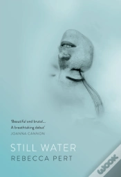 Capa do artigo Still Water