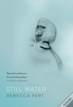 Capa do artigo Still Water