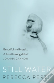 Capa do artigo Still Water