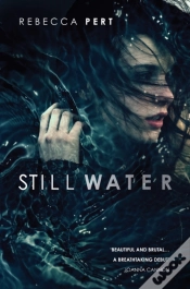 Capa do artigo Still Water