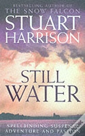 Capa do artigo Still Water