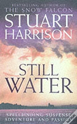 Capa do artigo Still Water