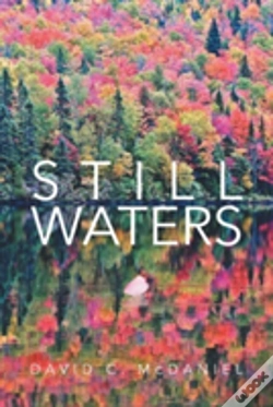 Capa do artigo Still Waters