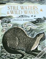 Capa do artigo Still Waters & Wild Waves