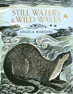 Capa do artigo Still Waters & Wild Waves